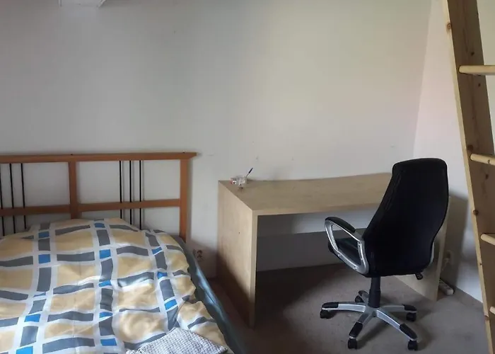 Rooms In The Apartment-Center