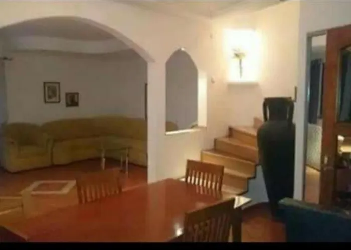 Rooms In The Apartment-Center